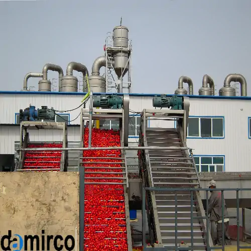 نمایی کلی از کارخانه رب