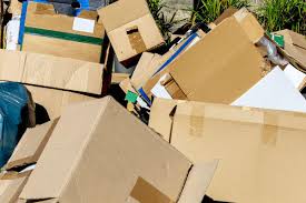 کارتن ضایعاتی