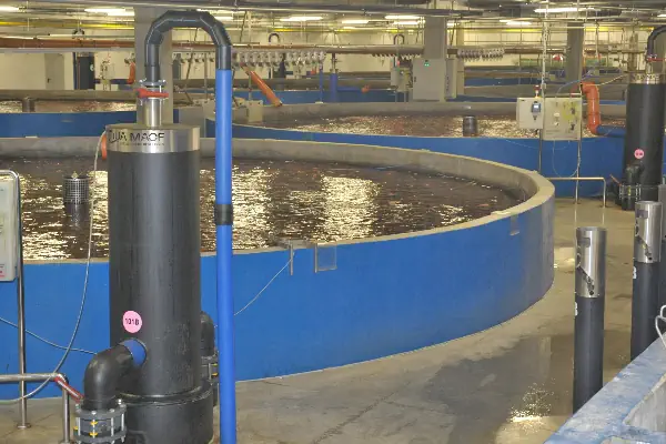 عکس دستگاه هوادهی استخر