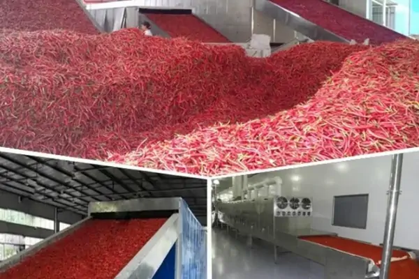 عکس میوه در دستگاه میوه خشک کن