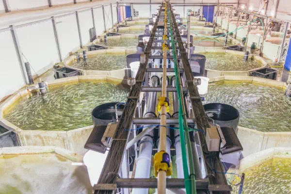 عکس تجهیزات پرورش ماهی و آبزیان