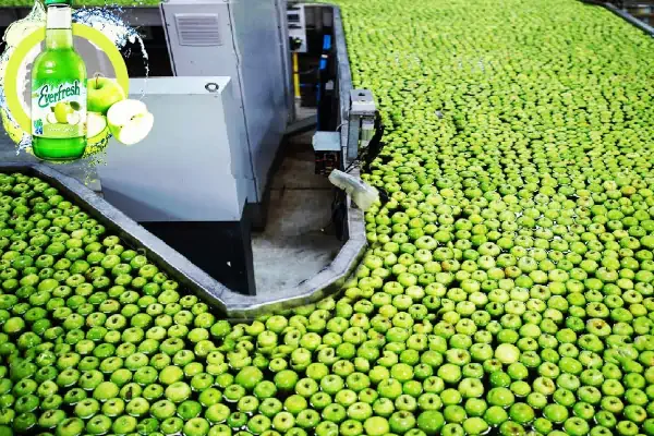 دستگاه تولید آب پرتقال طبیعی