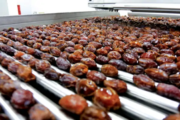 عکس خرما در دستگاه سورتینگ خرما