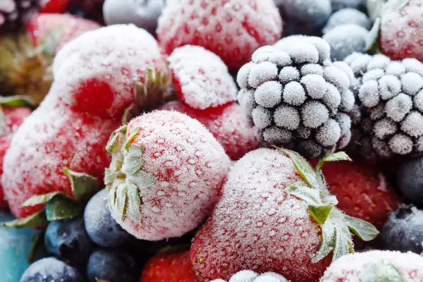 عکس راهنمای خرید انجماد سریع