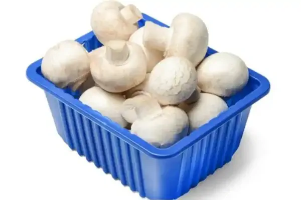 عکس بسته بندی قارچ