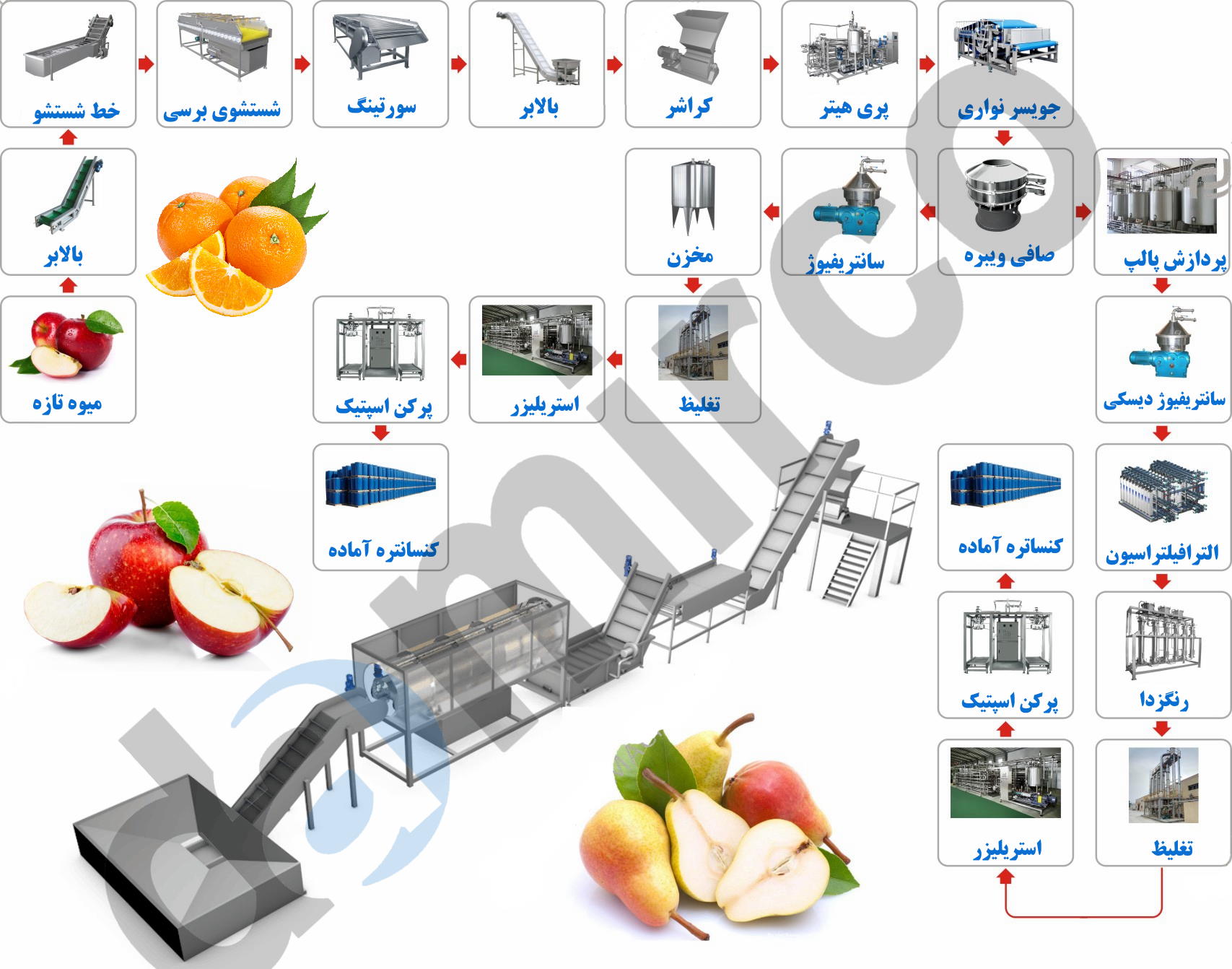 عکس خط کنساتره میوه