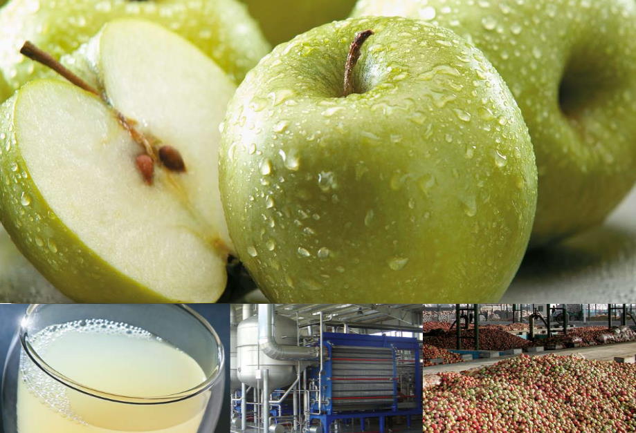 عکس سیب و خط کنساتره میوله