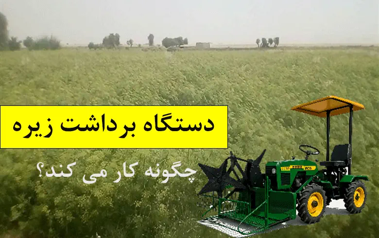 کمباین برداشت زیره