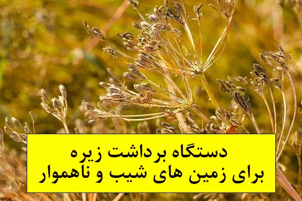 دستگاه برداشت زیره برای زمین های ناهموار