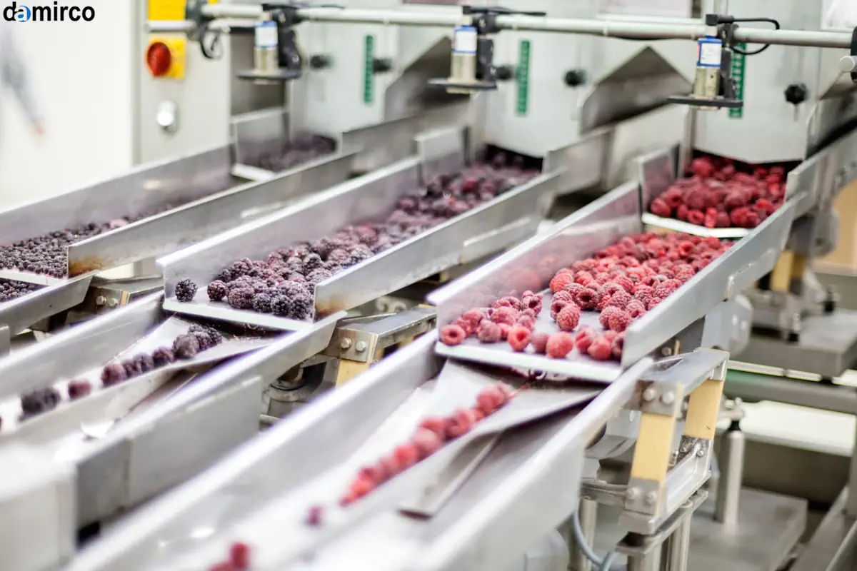 نصب تونل انجماد سریع iqf