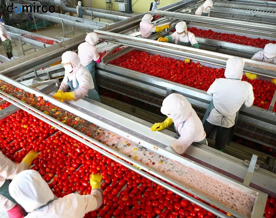 فناوری‌های پیشرفته برای مدیریت پسماند در خط تولید رب صنعتی، شامل پرس‌های جداسازی، خشک‌کن‌ها، آسیاب‌ها، راکتورهای بیوگاز و سیستم‌های تصفیه پساب)