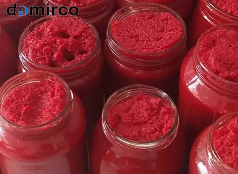 خط تولید رب گوجه فرنگی صنعتی با ظرفیت بالا