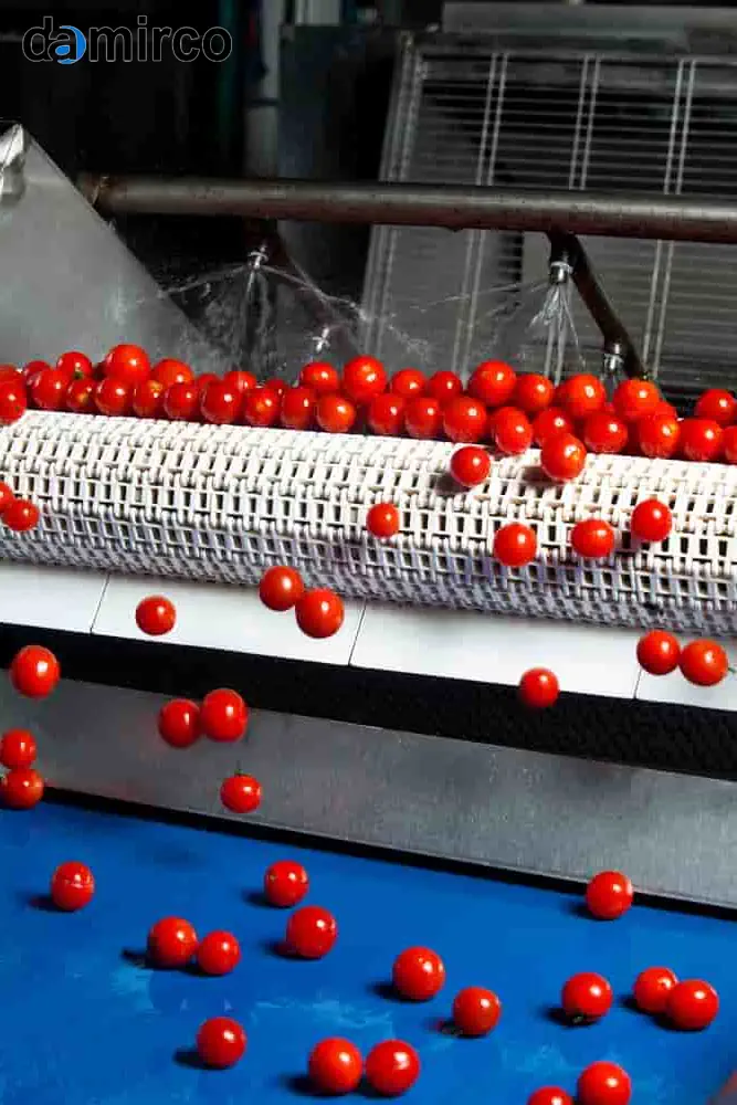 خط تولید رب تمام‌اتوماتیک پیشرفته برای صنایع بزرگ