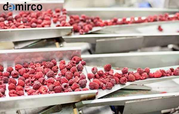 کاربرد تونل انجماد سریع در صنایع گوشت و میوه و سبزیجات