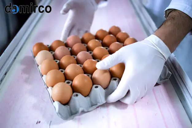 خط تولید شانه تخم مرغ، مراحل صدور مجوز، ماشین آلات صنعتی