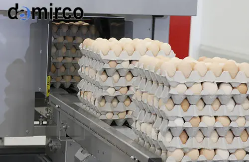 خط تولید اتوماتیک شانه تخم‌مرغ در حال کار