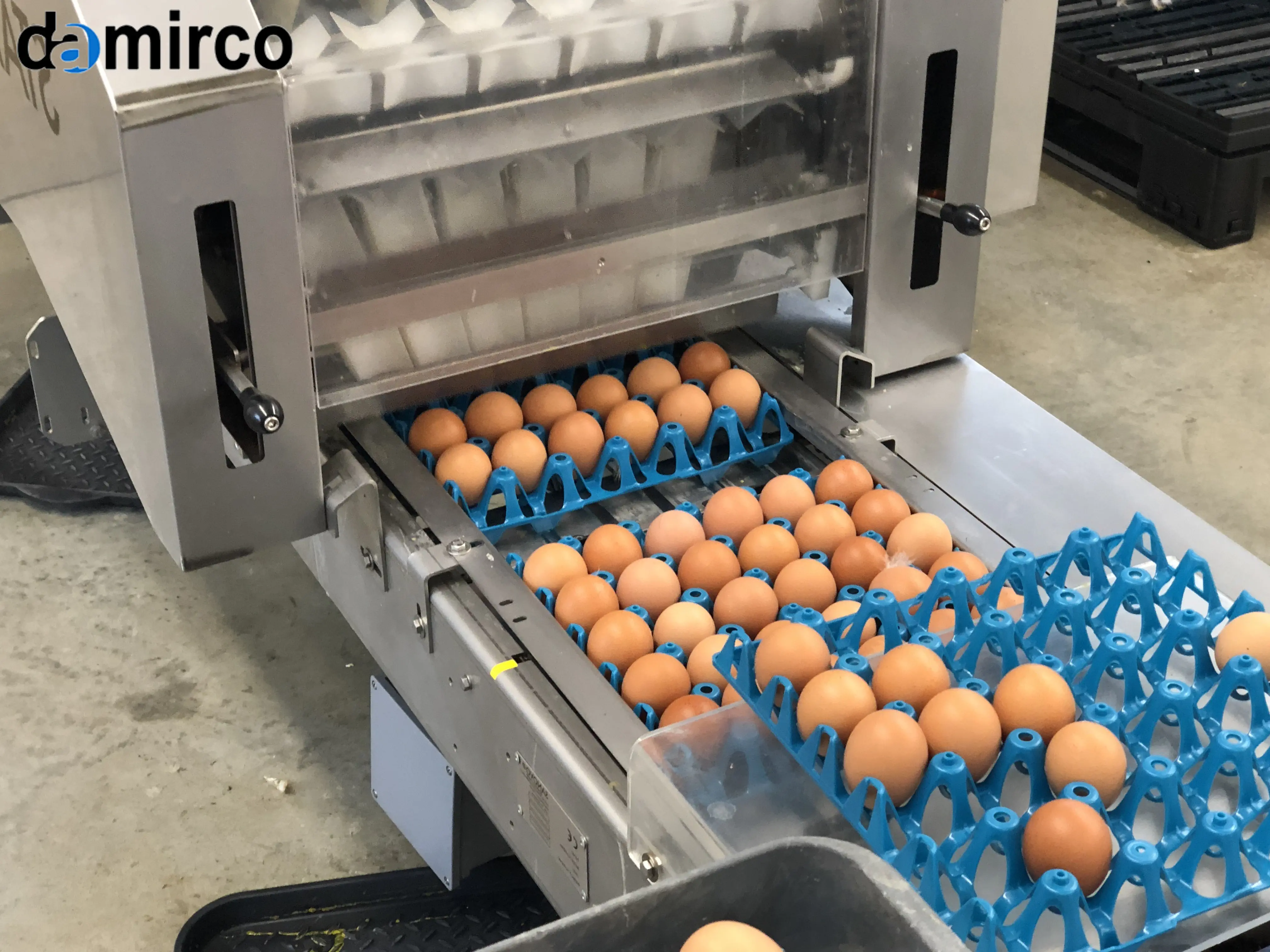 دستگاه‌های خط تولید شانه تخم مرغ در حال نگهداری و بازرسی فنی