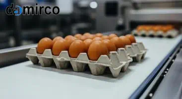 دستگاه تولید شانه تخم مرغ کارکرده در حال کار در یک کارخانه