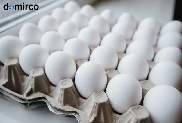 نمودار مصرف برق خط تولید شانه تخم‌ مرغ مدرن