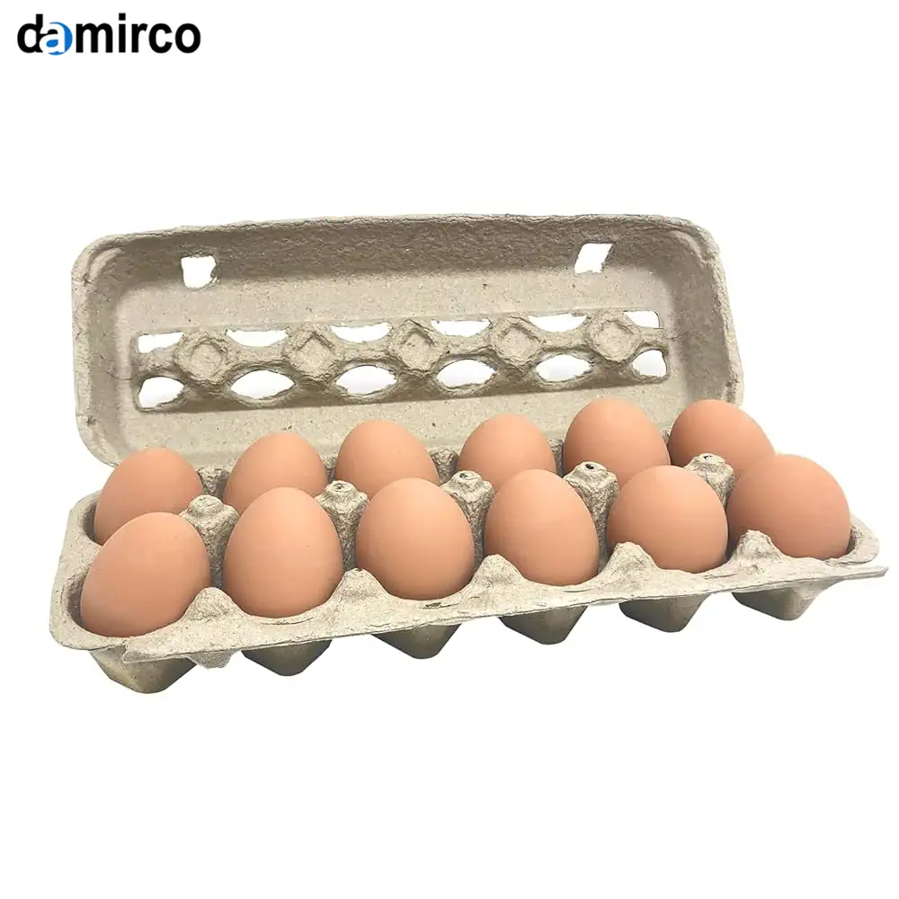 ماشین‌آلات تولید شانه تخم‌ مرغ در یک کارخانه مدرن