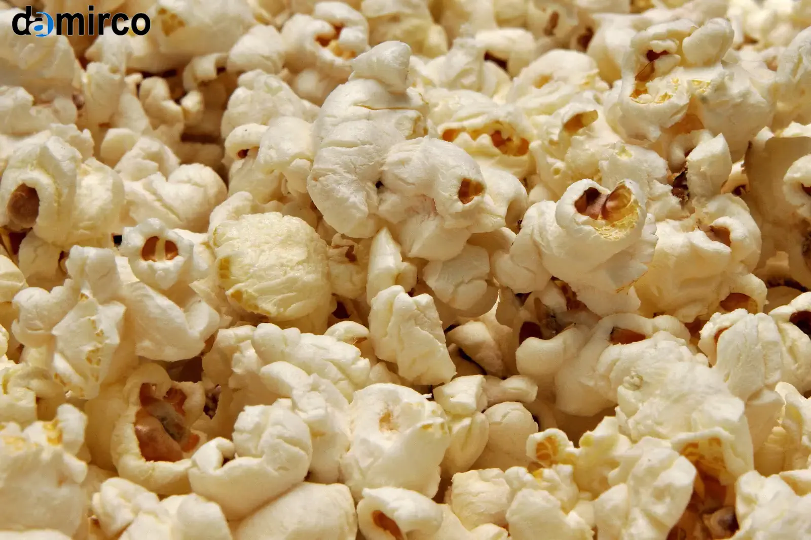 سود خط تولید پاپ کورن