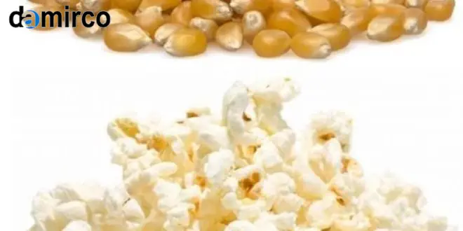 مقایسه خط تولید پاپ کورن اتوماتیک و نیمه اتوماتیک