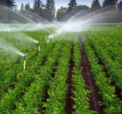 عکس سیستم آبیاری بارانی