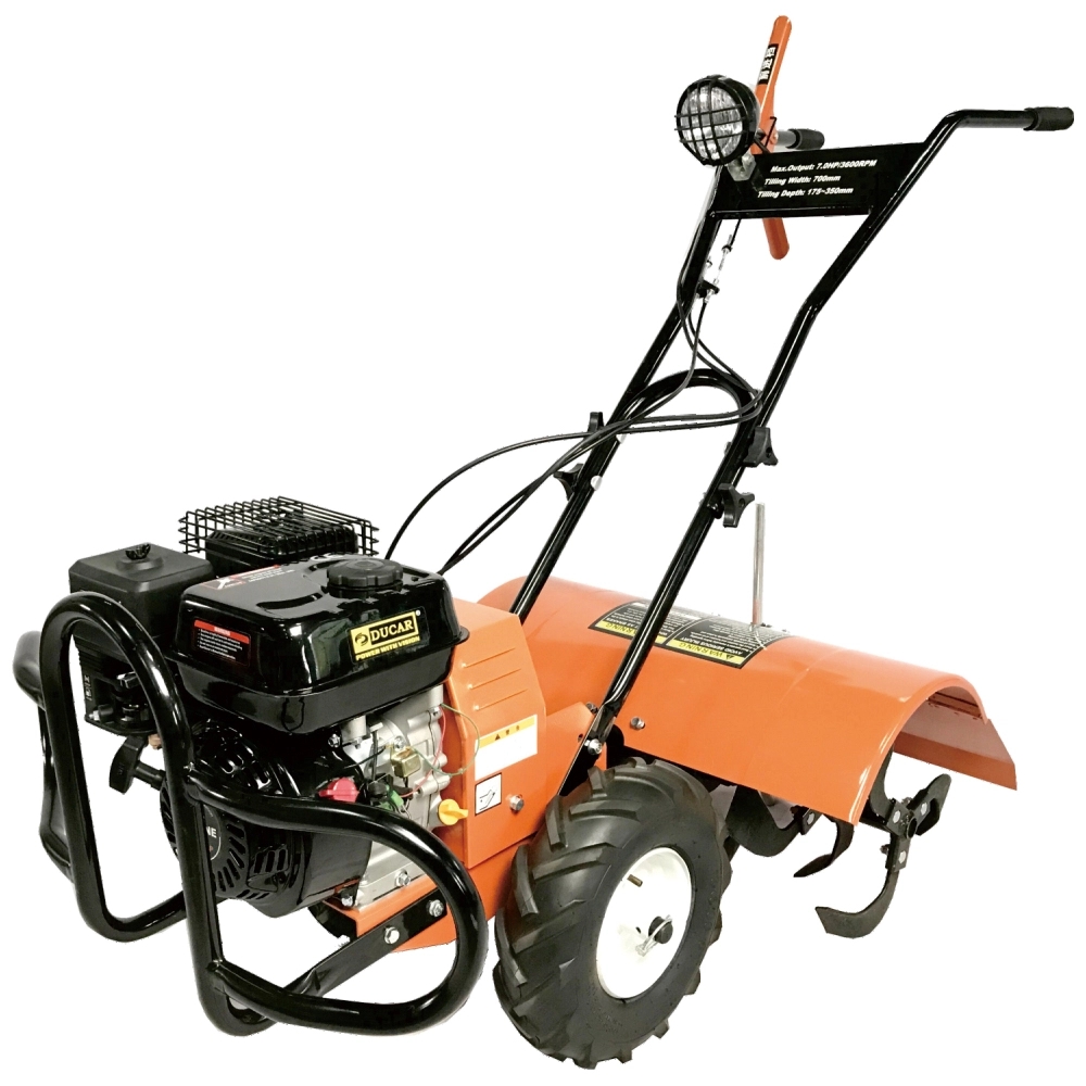 عکس تیلر  زرد رنگ