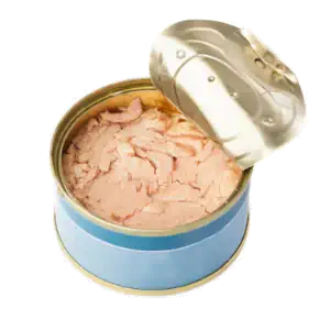 عکس تن ماهی