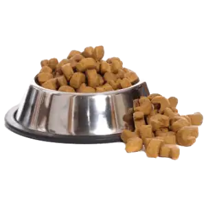 عکس غذای سگ و گربه