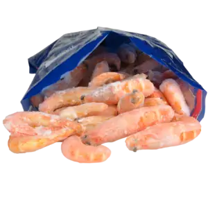 عکس میگو و ماهی منجمد