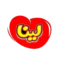 گروه صنعتی لینا
