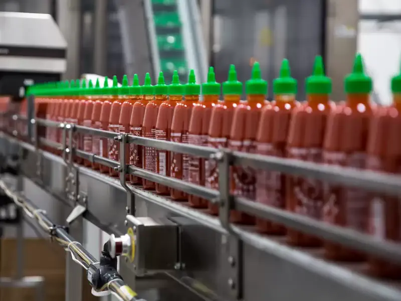 عکس سس کچاپ در خط تولید سس کچاپ