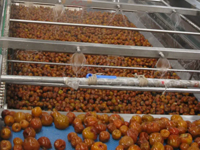 عکس خرما در دستگاه سورتینگ خرما