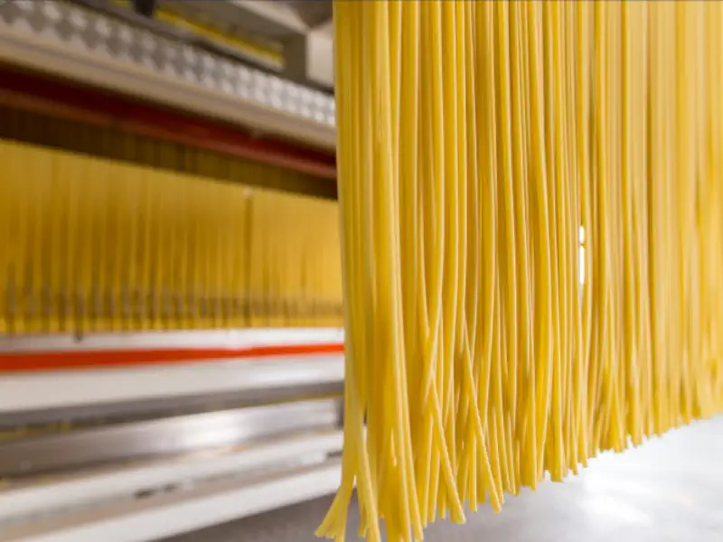 عکس خط تولید ماکارونی