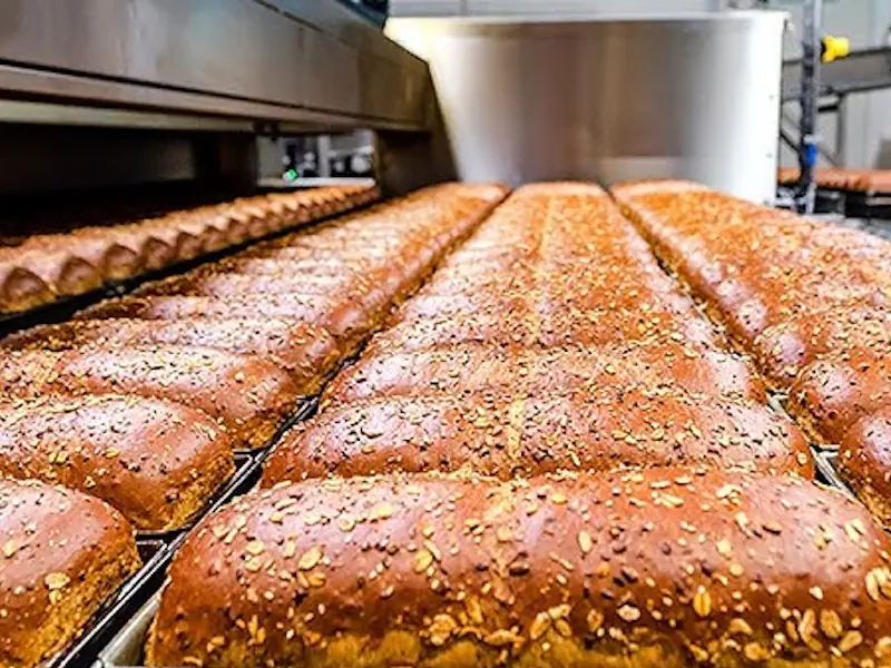 عکس خط تولید نان صنعتی