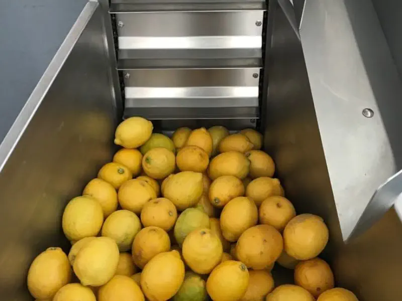 عکس لیمو در دستگاه عصاره گیر