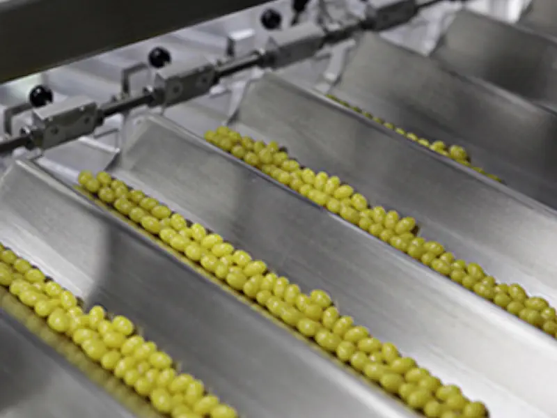 عکس دستگاه فراوری زیتون