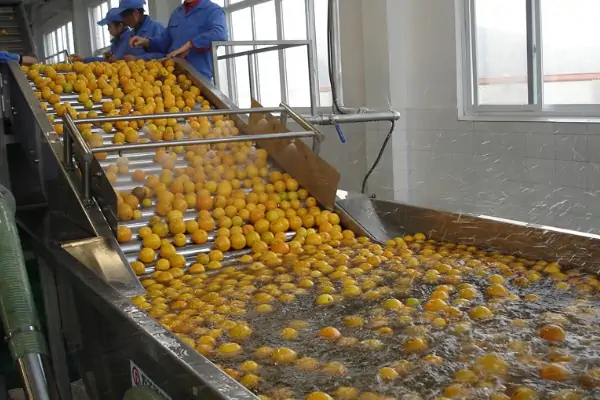 عکس پرتقال در دستگاه شستشوی میوه