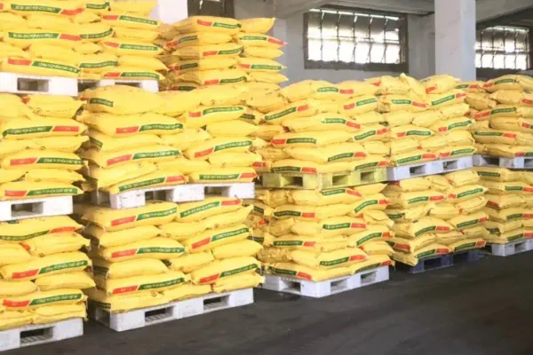 عکس کیسه های  پیگمنت زرد رنگ