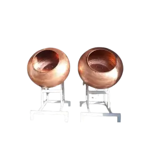 عکس نقل گل محمدی از نزدیک