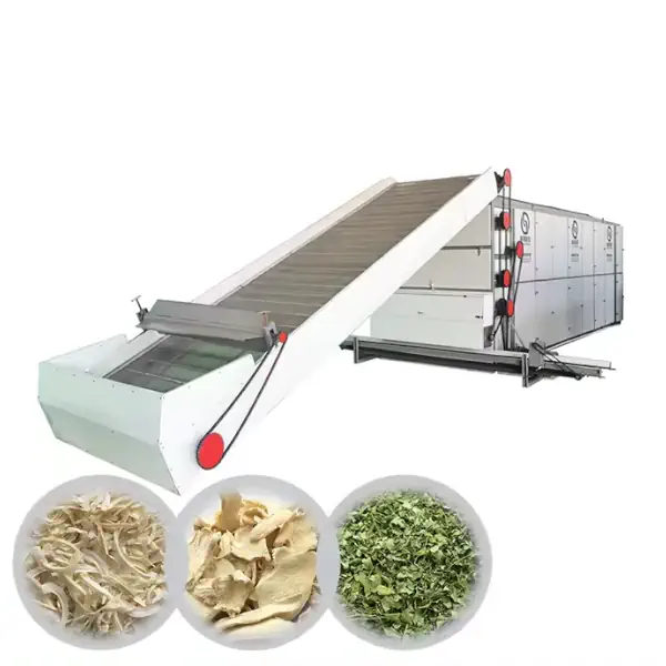 عکس خط تولید سبزی خشک در زمینه سفید به همراه سیر خشک و سبزی خشک در پایین تصویر