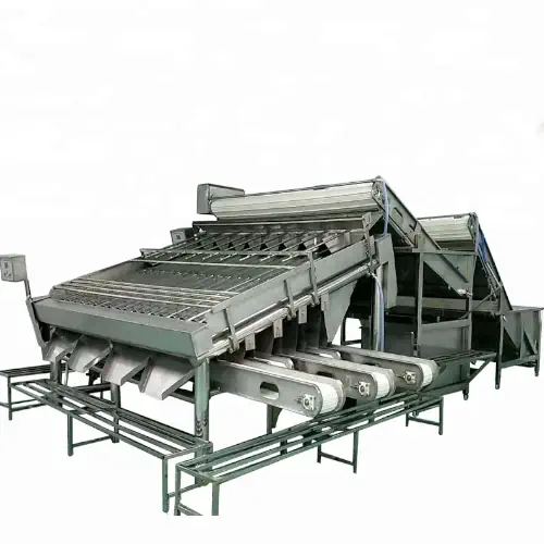 عکس خط فرآوری میگو