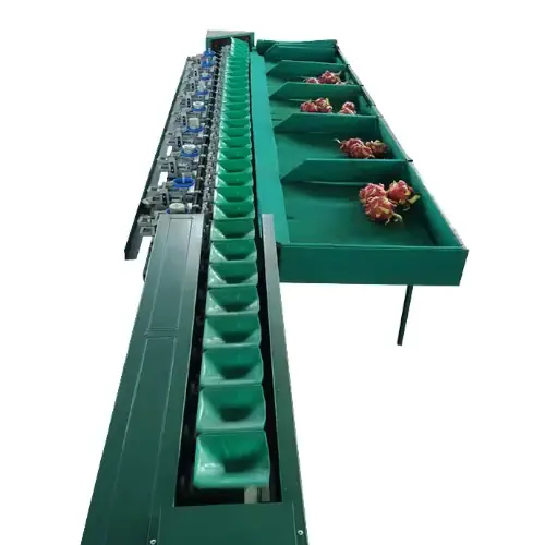 عکس دستگاه سورتینگ اتوماتیک میوه