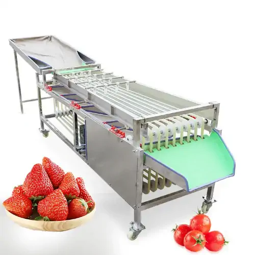 عکس دو عدد گوجه فرنگی در کنار یک سبد توت فرنگی همراه با خط سورتینگ میوه و سبزیجات