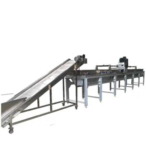 عکس نوار نقاله دستچین میوه