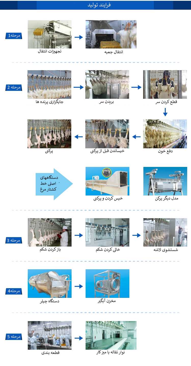 اینفوگرافیک کشتارگاه مرغ اتوماتیک
