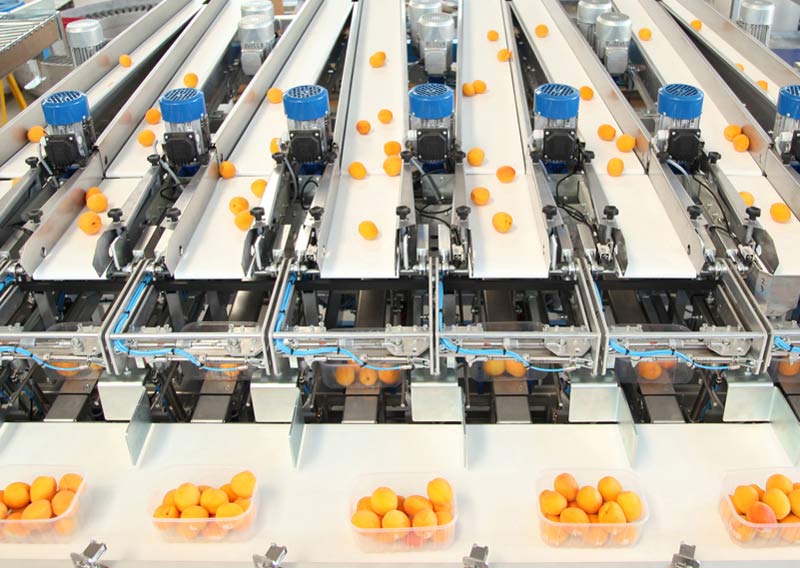 دستگاه سورتینگ