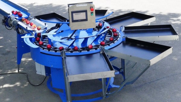 دستگاه سورتینگ بر اساس شکل