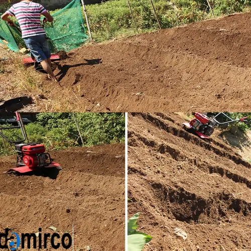 تصویر تیلر در حال کار